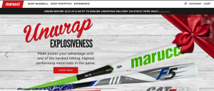bestwebsite-1-opt