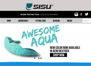 bestwebsite-4-opt